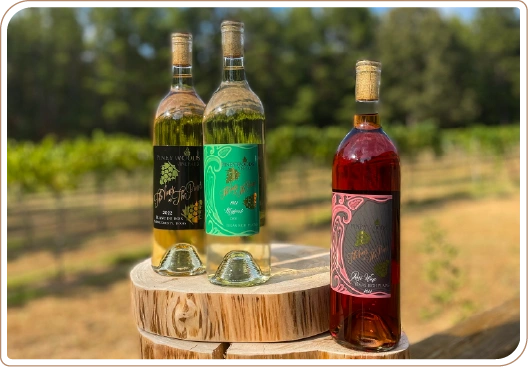 Pineywoods Vineyard Wines On Display