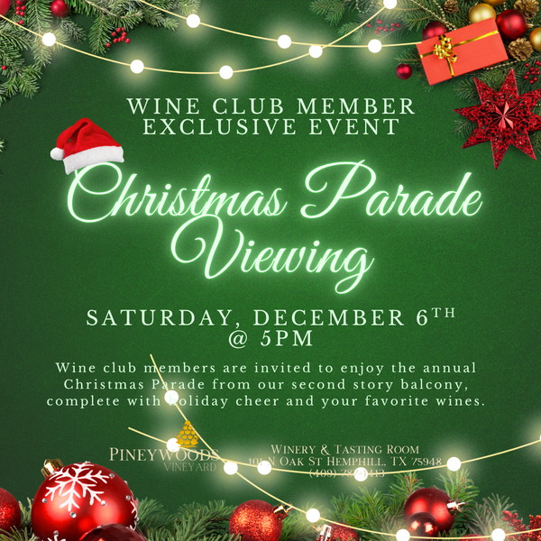 Christmas Parade Viewing