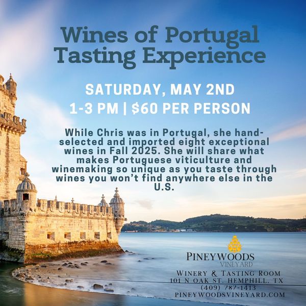 Wines of Portugal Tasting Experience